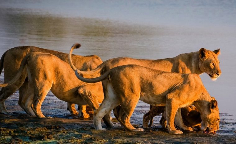 1679904073_791c9762a42f1d605283