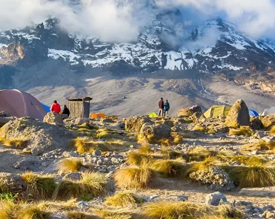 Kilimanjaro-trek-3
