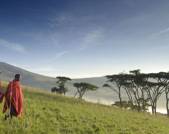 ngorongoro-crater=401195-300